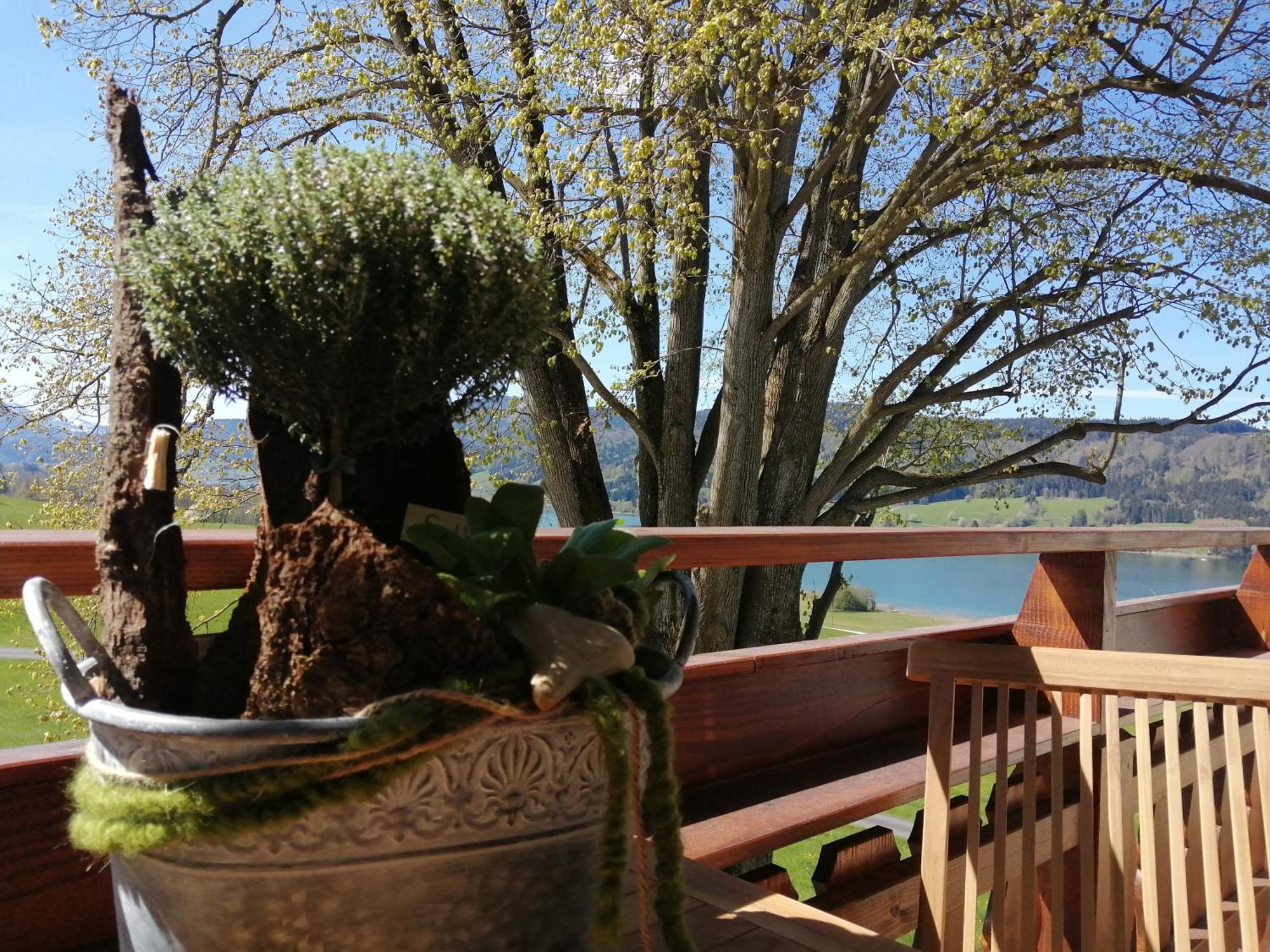Roiderhof Irrsee Oberhofen am Irrsee Esterno foto