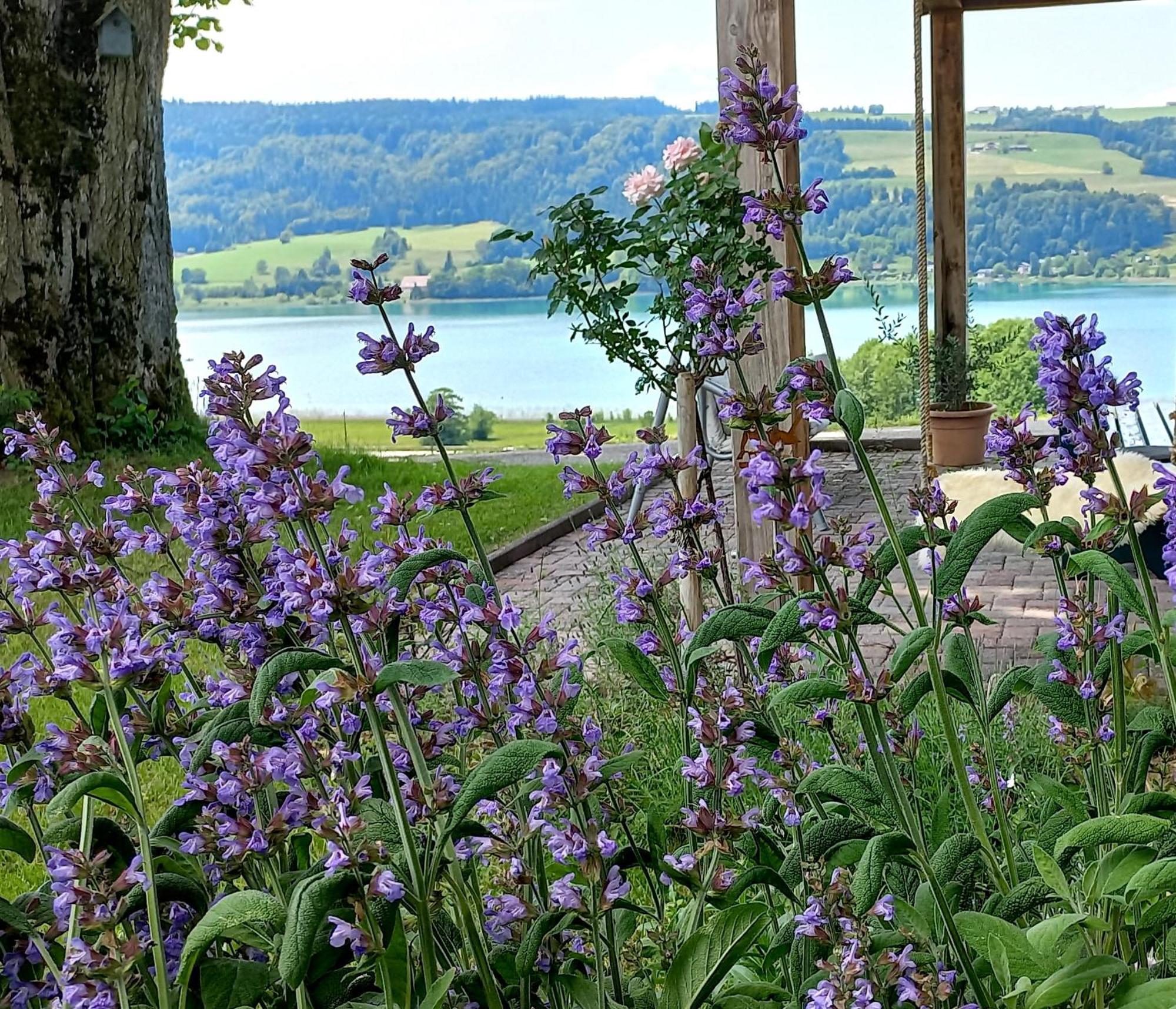 Roiderhof Irrsee Oberhofen am Irrsee Esterno foto